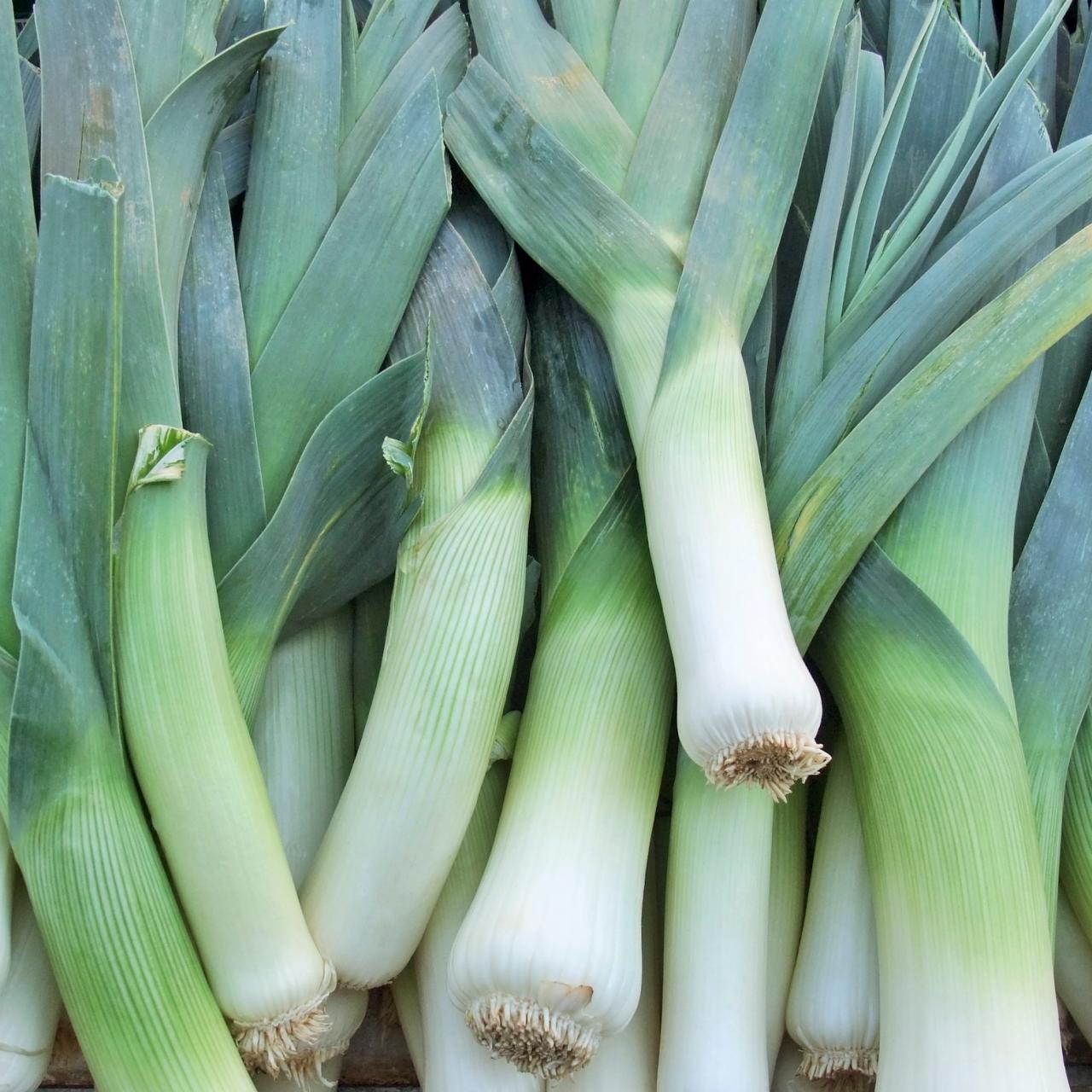 Leeks ~ each