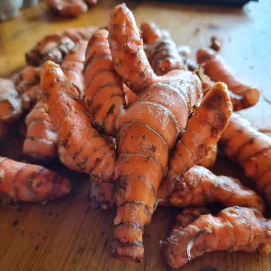 Fresh Turmeric ~ per 50g