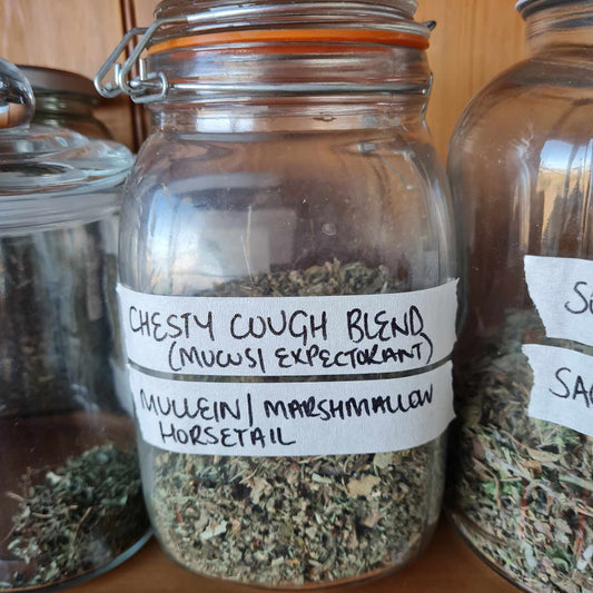 Chesty Cough Blend Tea ~ per 10g