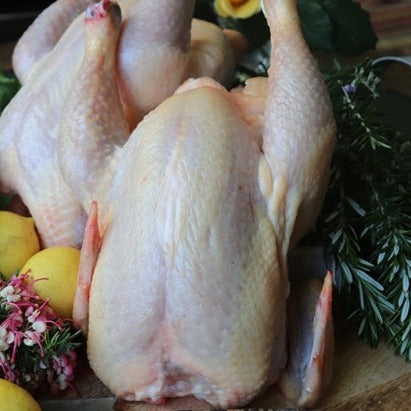 Heritage Chicken/slow grown/chemical free ~ Whole Chicken