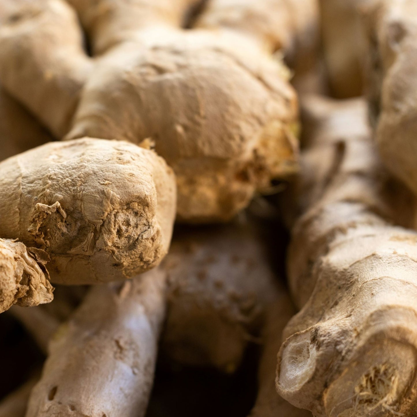 Ginger ~ per 100g