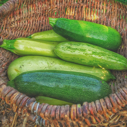 Zucchini ~ each (approx 200g each)