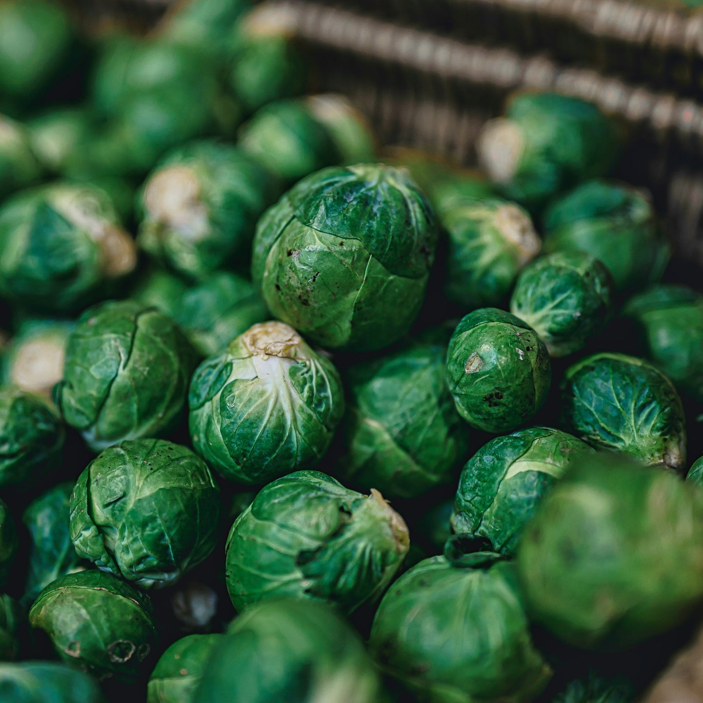 Brussel Sprouts ~ per 250g (approx 12)