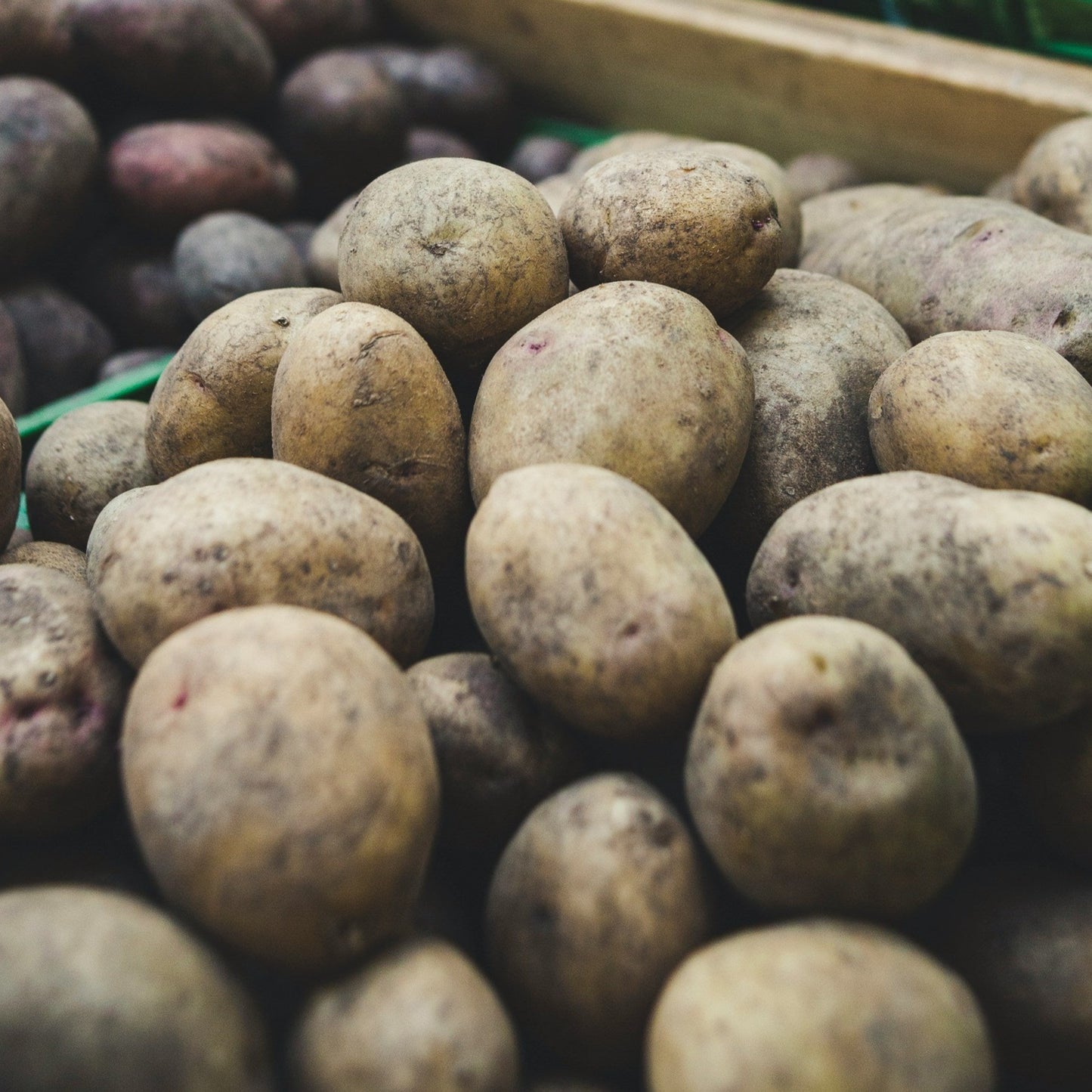 Potatoes (Dutch Creams) unwashed ~ per kg