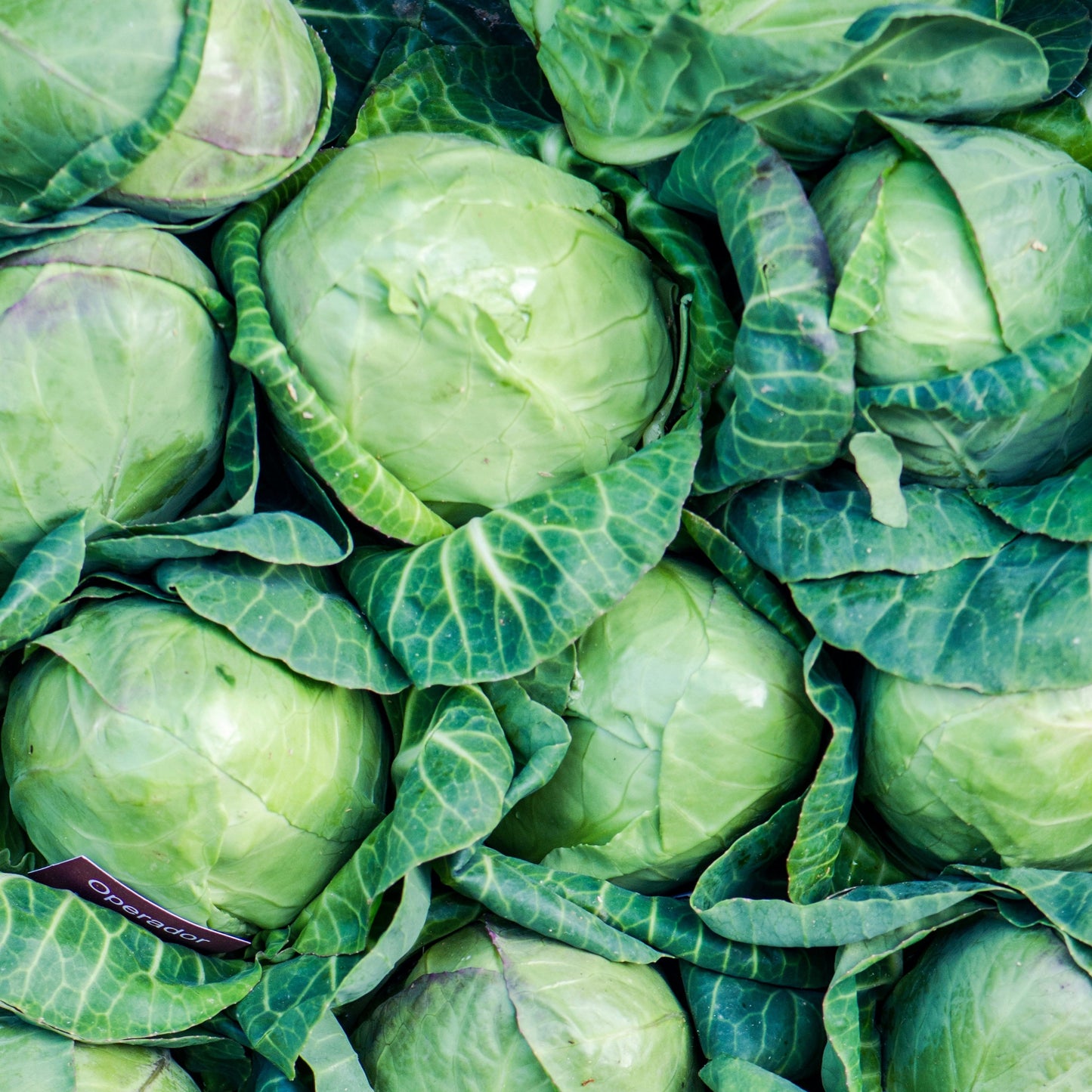 Cabbages ~ per quarter