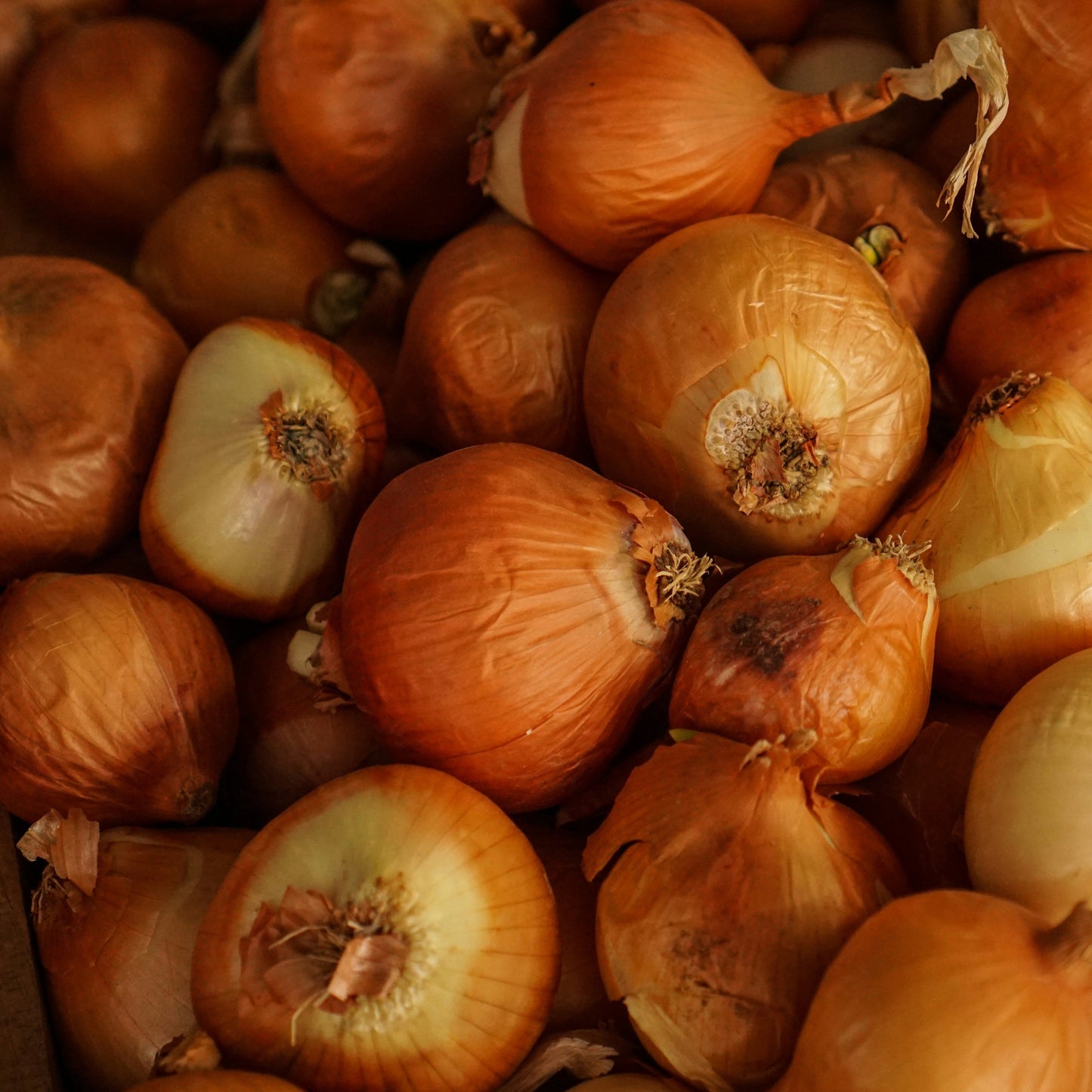 Onions ~ Brown per kg (approx 10)